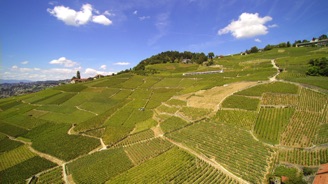 YUN00005.jpg